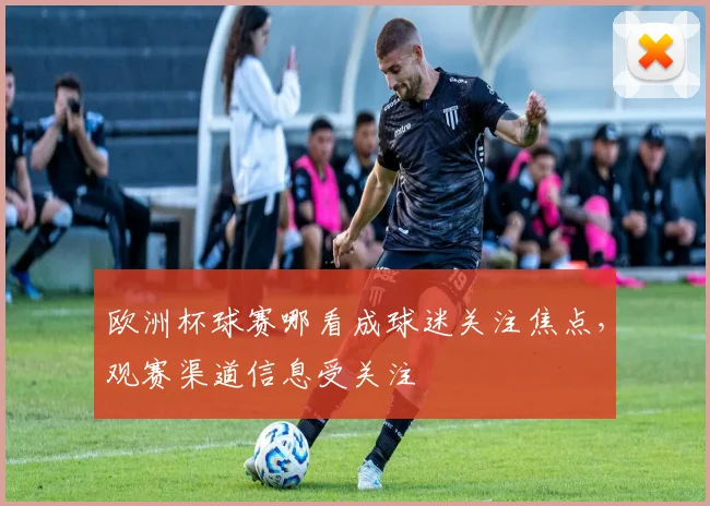欧洲杯球赛哪看成球迷关注焦点，观赛渠道信息受关注