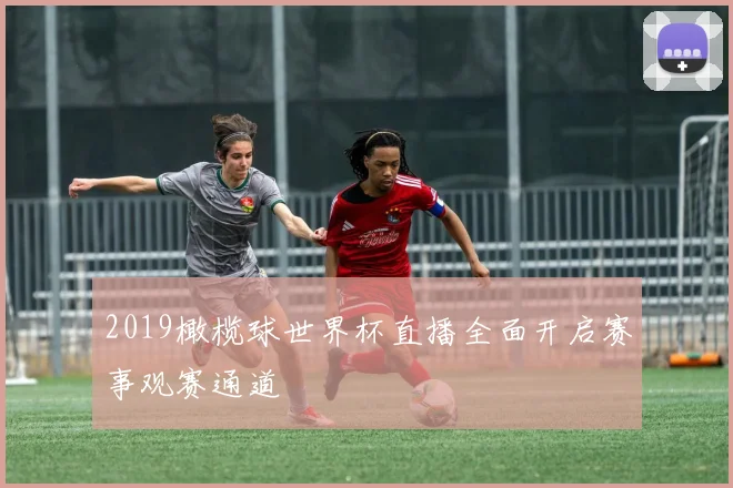2019橄榄球世界杯直播全面开启赛事观赛通道
