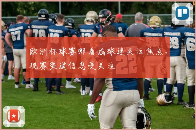 欧洲杯球赛哪看成球迷关注焦点，观赛渠道信息受关注