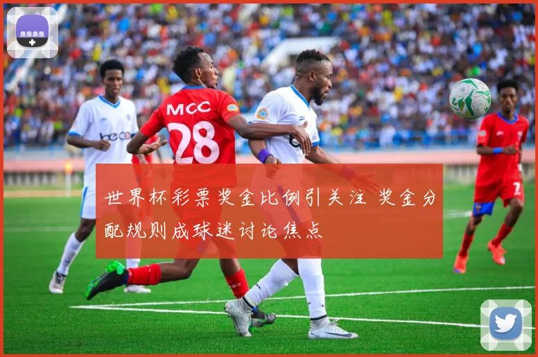 世界杯彩票奖金比例引关注 奖金分配规则成球迷讨论焦点