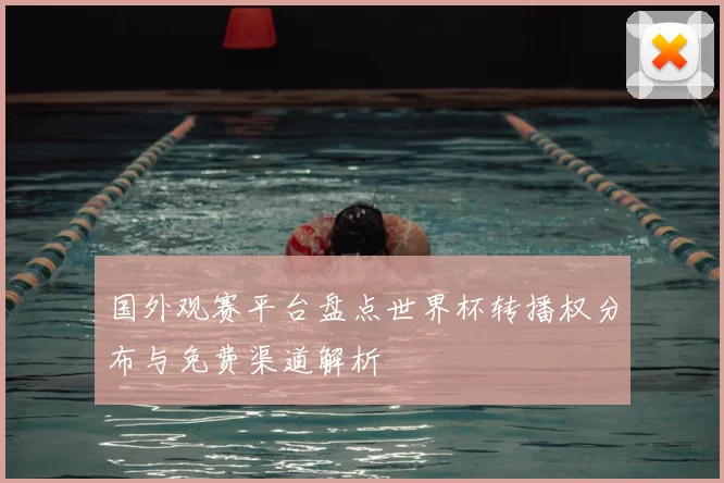 国外观赛平台盘点世界杯转播权分布与免费渠道解析