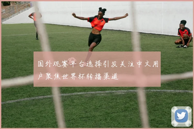 国外观赛平台选择引发关注中文用户聚焦世界杯转播渠道