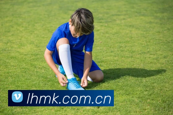 开云官方登陆入口平台生态图